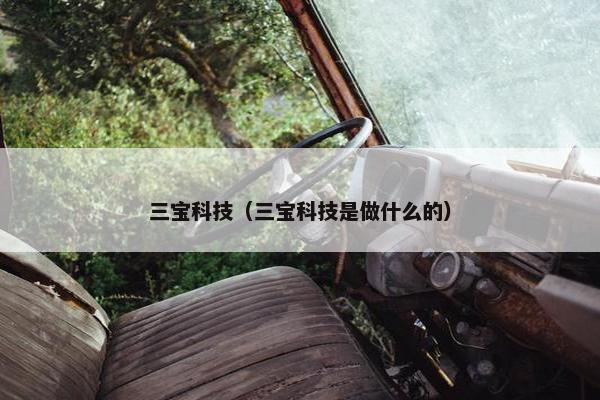 三宝科技（三宝科技是做什么的）