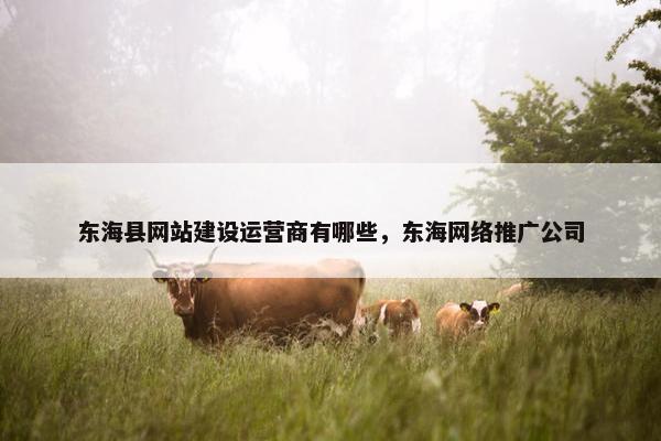 东海县网站建设运营商有哪些，东海网络推广公司