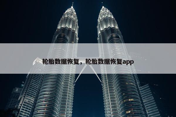 轮胎数据恢复，轮胎数据恢复app