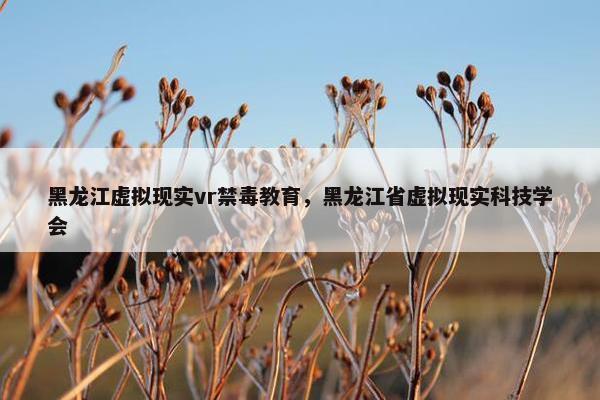 黑龙江虚拟现实vr禁毒教育，黑龙江省虚拟现实科技学会
