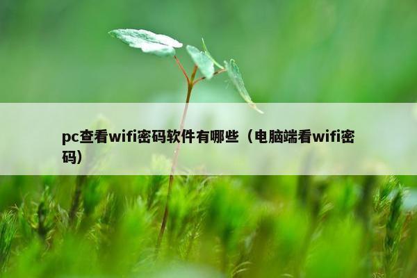 pc查看wifi密码软件有哪些（电脑端看wifi密码）