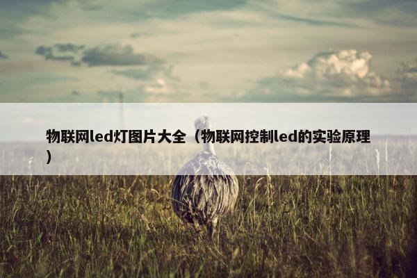 物联网led灯图片大全（物联网控制led的实验原理）