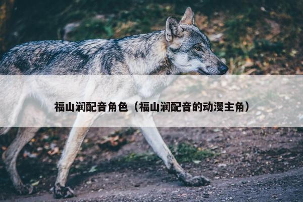 福山润配音角色（福山润配音的动漫主角）