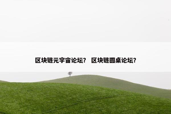 区块链元宇宙论坛？ 区块链圆桌论坛？