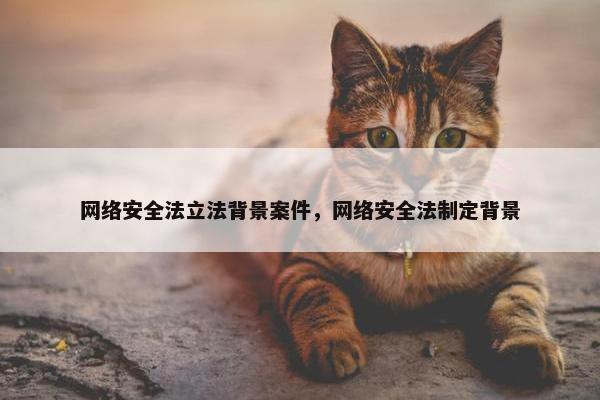 网络安全法立法背景案件，网络安全法制定背景