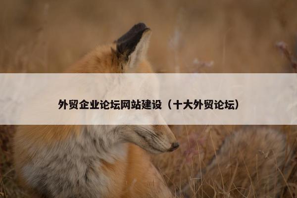 外贸企业论坛网站建设（十大外贸论坛）