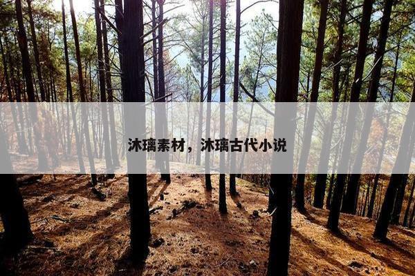 沐璃素材，沐璃古代小说