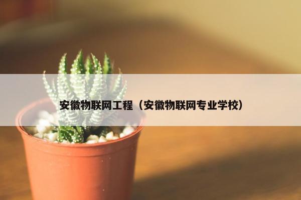 安徽物联网工程（安徽物联网专业学校）