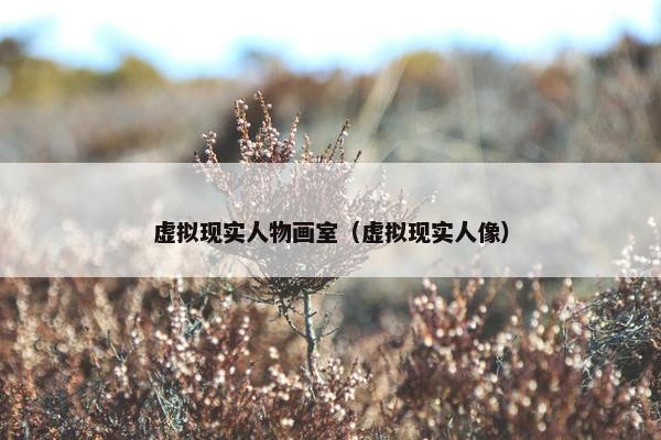 虚拟现实人物画室（虚拟现实人像）