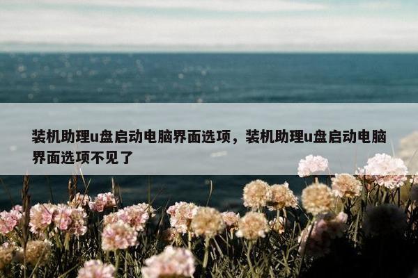 装机助理u盘启动电脑界面选项，装机助理u盘启动电脑界面选项不见了