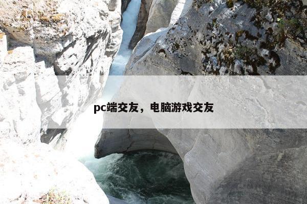 pc端交友，电脑游戏交友