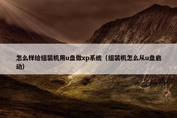 怎么样给组装机用u盘做xp系统（组装机怎么从u盘启动）