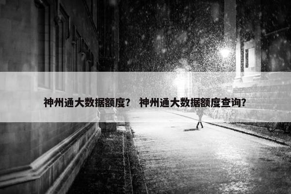 神州通大数据额度？ 神州通大数据额度查询？