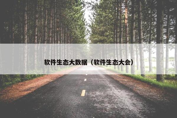 软件生态大数据（软件生态大会）