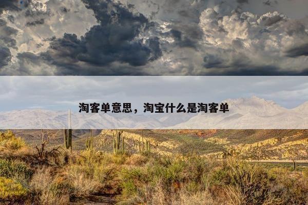 淘客单意思，淘宝什么是淘客单