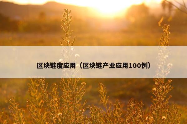 区块链度应用（区块链产业应用100例）