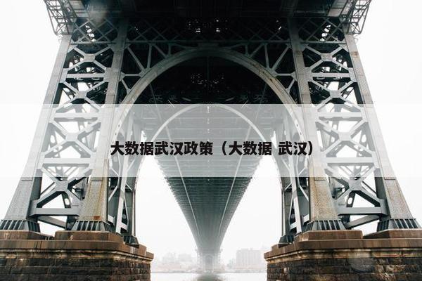 大数据武汉政策（大数据 武汉）
