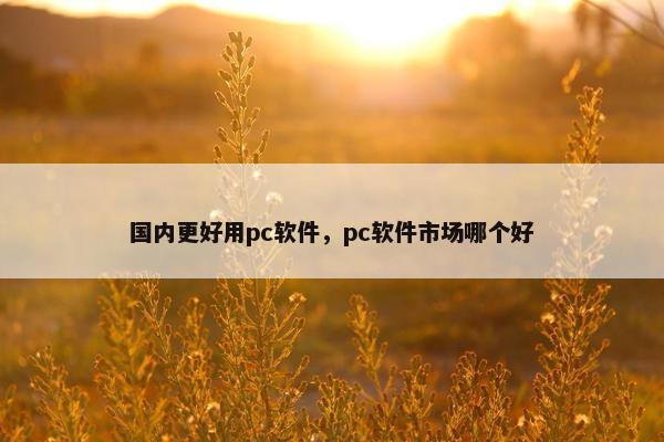 国内更好用pc软件，pc软件市场哪个好
