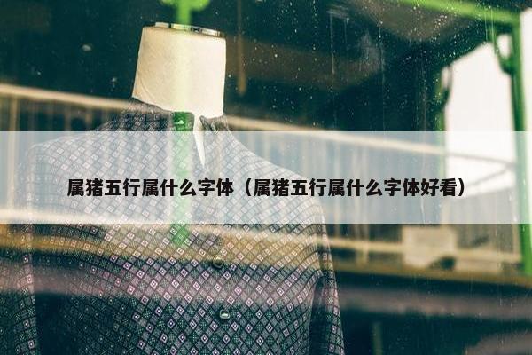 属猪五行属什么字体（属猪五行属什么字体好看）