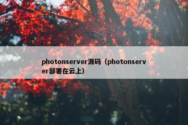 photonserver源码（photonserver部署在云上）