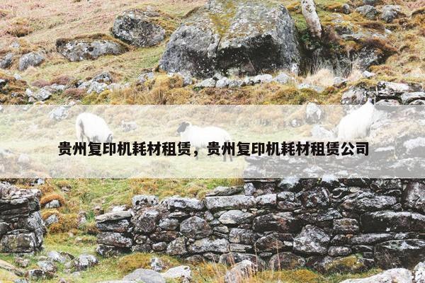 贵州复印机耗材租赁，贵州复印机耗材租赁公司