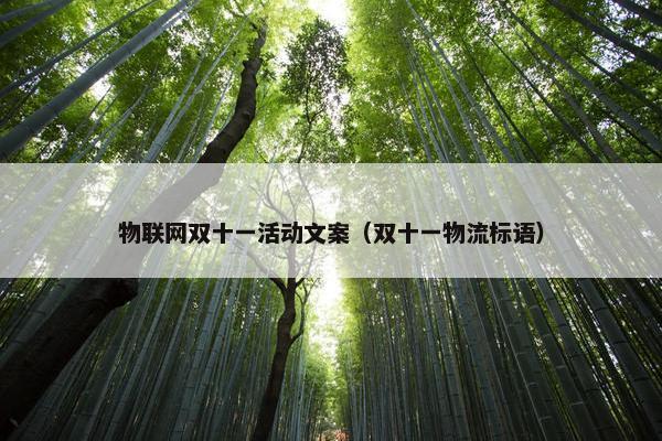 物联网双十一活动文案（双十一物流标语）