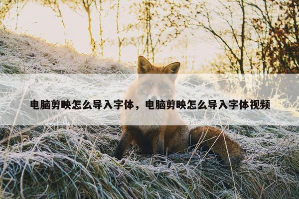 电脑剪映怎么导入字体，电脑剪映怎么导入字体视频