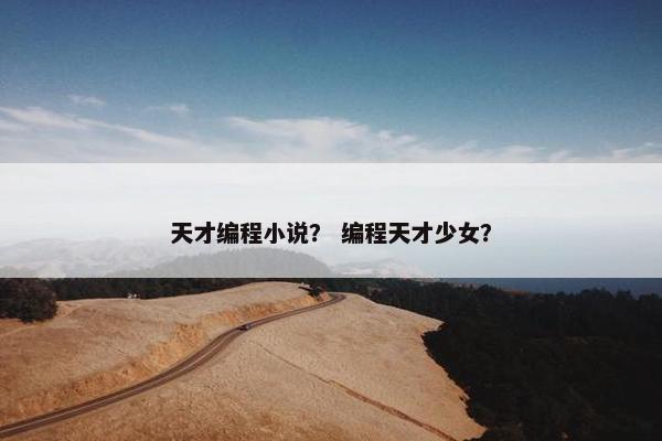 天才编程小说？ 编程天才少女？