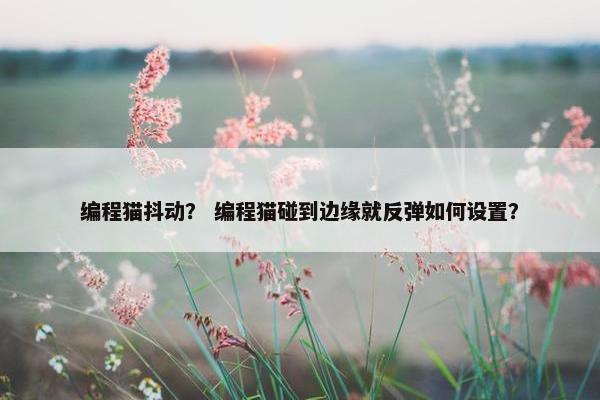 编程猫抖动？ 编程猫碰到边缘就反弹如何设置？