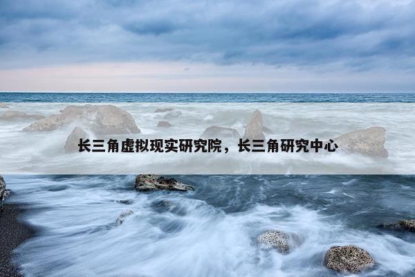 长三角虚拟现实研究院，长三角研究中心