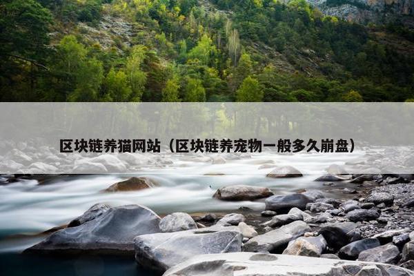 区块链养猫网站（区块链养宠物一般多久崩盘）