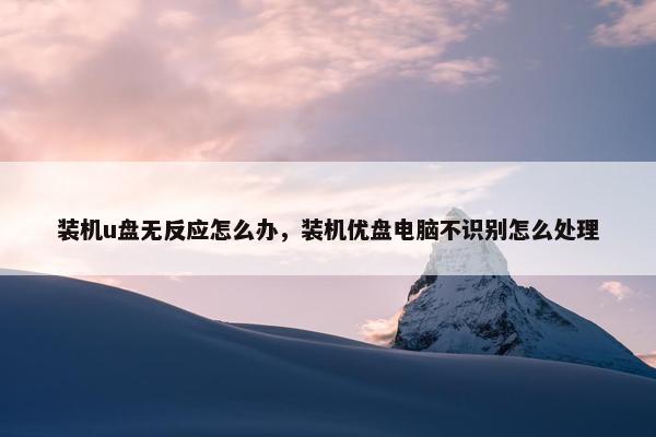 装机u盘无反应怎么办，装机优盘电脑不识别怎么处理