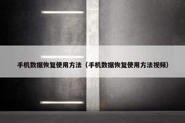 手机数据恢复使用方法（手机数据恢复使用方法视频）
