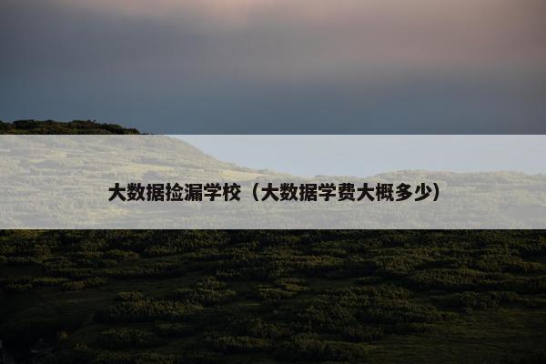 大数据捡漏学校（大数据学费大概多少）