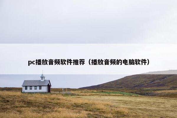 pc播放音频软件推荐（播放音频的电脑软件）