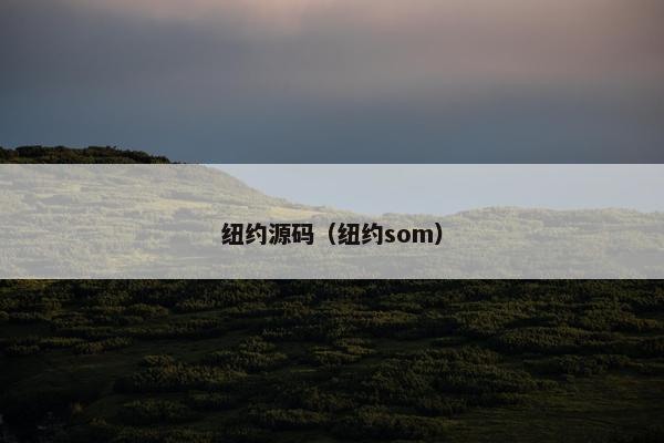 纽约源码（纽约som）