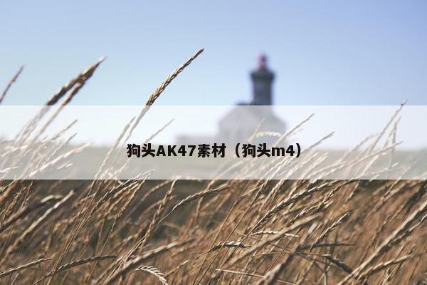 狗头AK47素材（狗头m4）