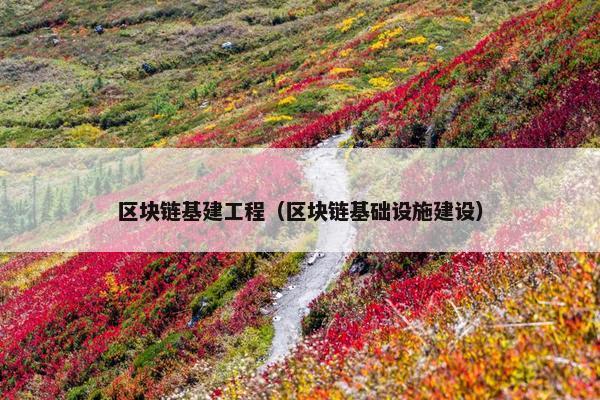 区块链基建工程（区块链基础设施建设）