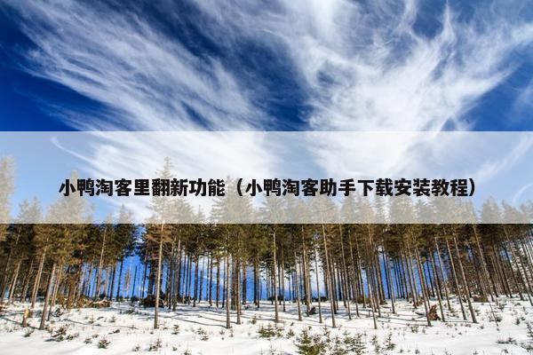 小鸭淘客里翻新功能（小鸭淘客助手下载安装教程）