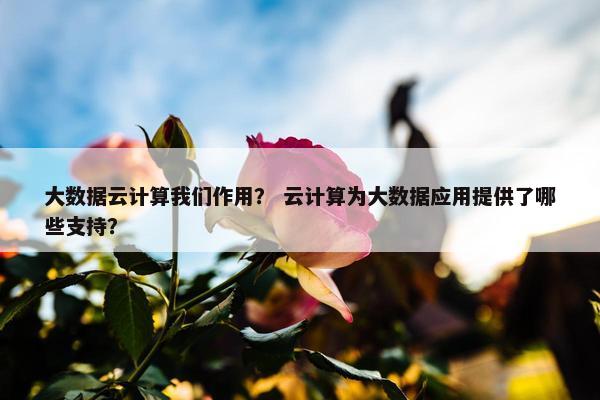 大数据云计算我们作用？ 云计算为大数据应用提供了哪些支持？
