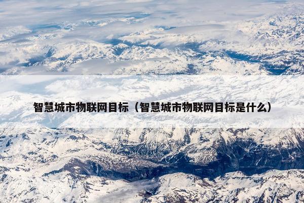 智慧城市物联网目标（智慧城市物联网目标是什么）