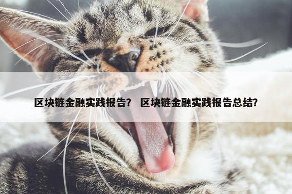区块链金融实践报告？ 区块链金融实践报告总结？