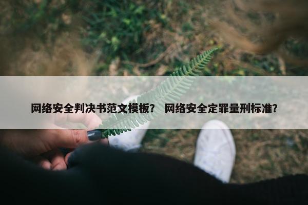 网络安全判决书范文模板？ 网络安全定罪量刑标准？