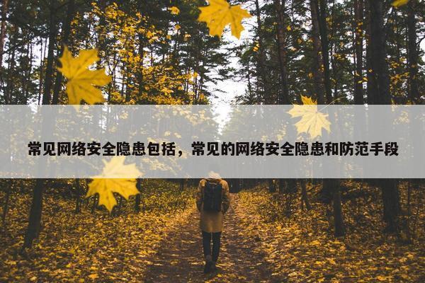 常见网络安全隐患包括，常见的网络安全隐患和防范手段