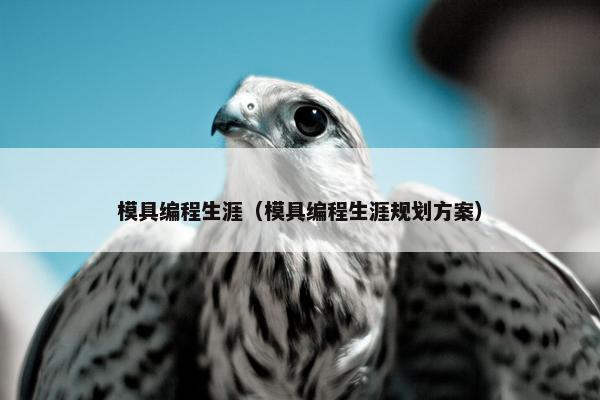 模具编程生涯（模具编程生涯规划方案）
