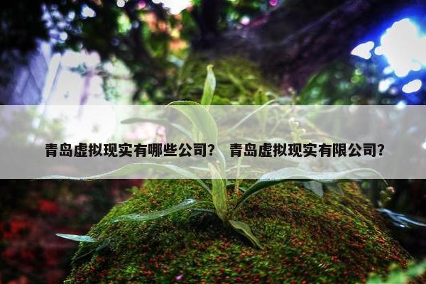 青岛虚拟现实有哪些公司？ 青岛虚拟现实有限公司？