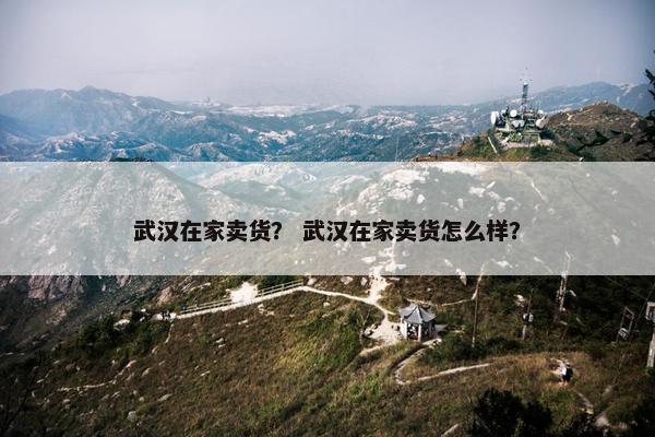 武汉在家卖货？ 武汉在家卖货怎么样？