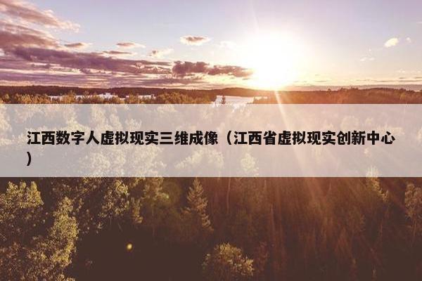 江西数字人虚拟现实三维成像（江西省虚拟现实创新中心）