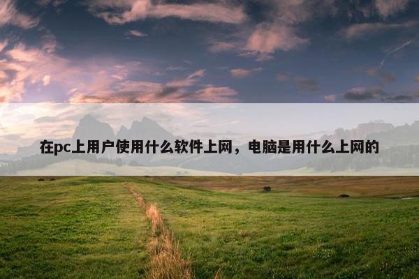 在pc上用户使用什么软件上网，电脑是用什么上网的