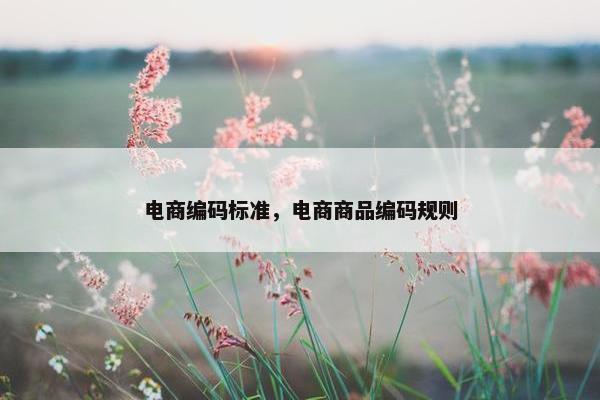 电商编码标准，电商商品编码规则